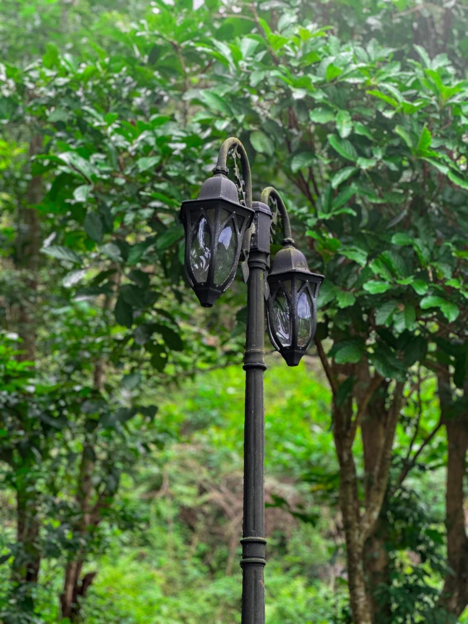 Janiro Tea Trees Villas Vythiri Exterior foto